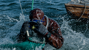 優(yōu)勢(shì)展示