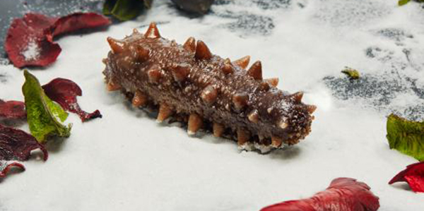 怎樣快速的區(qū)分淡干海參、鹽干海參和凍干海參？