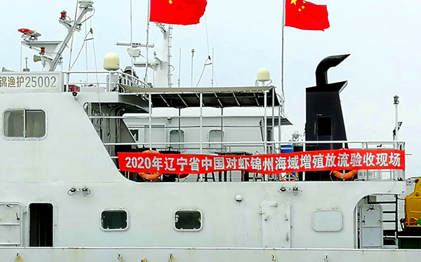 達(dá)蓮公司完成了2020年度省中國對(duì)蝦增殖放流任務(wù)